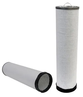 Secondary Air Filter